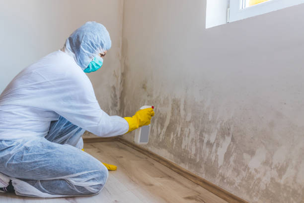 Licensed Mold Remediation service in Livingston, NJ - WQB Mold Removal