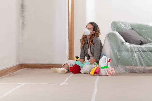 Reliable Mold Remediation contractor in Livingston, NJ by WQB Mold Removal